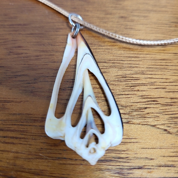 Vintage Natural Sea Shell Slice Necklace Pendant - Picture 7 of 14